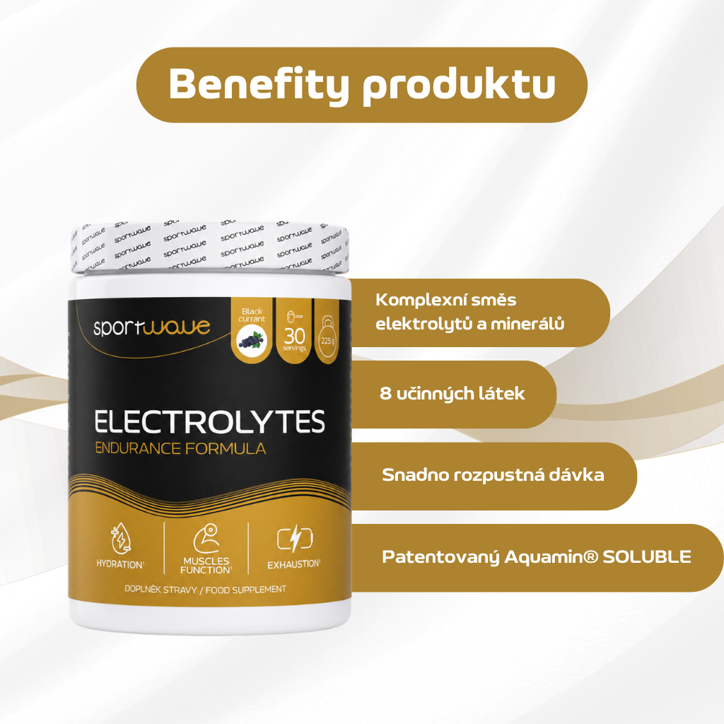 Electrolytes endurance formula - černý rybíz  - slozeni